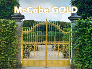 McCube Gold Modell