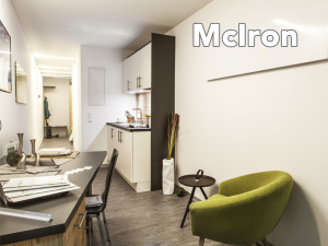 McIron Container als TinyHouse