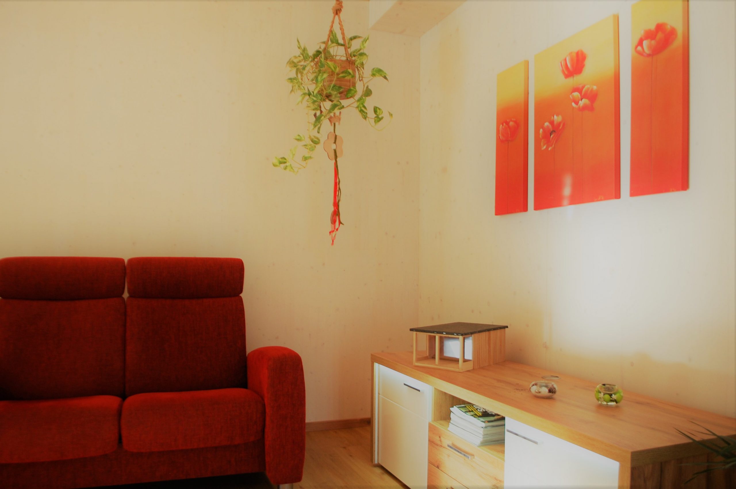 McCube Musterhaus Innenaufnahme Wohnzimmer