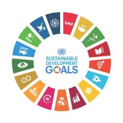 Sustainable Development Goals Grafik